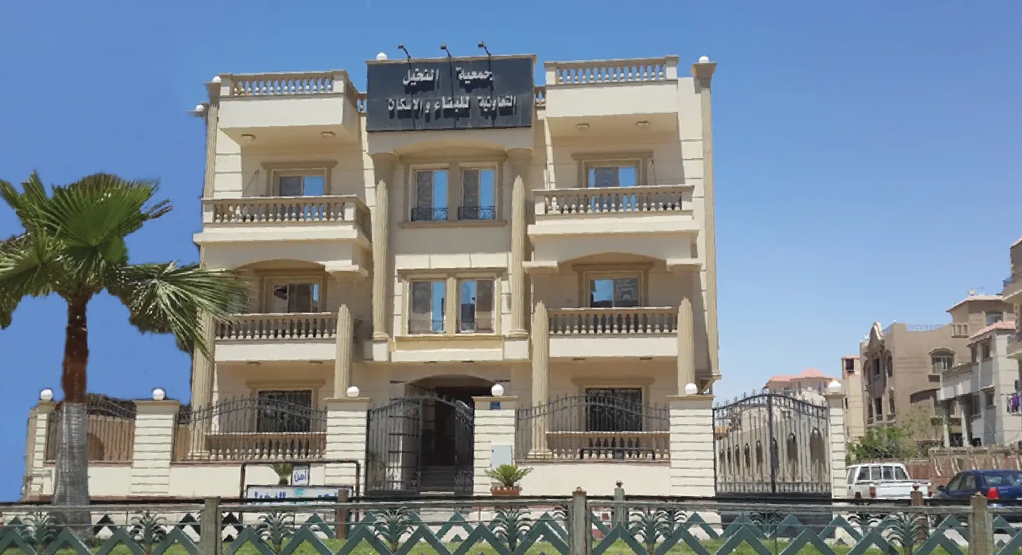 النخيل 4